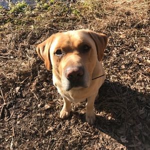 Meet your Posher, Tony